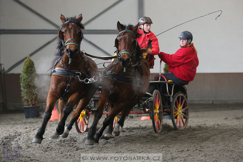 28.1.2017 - spřežení Hradištko