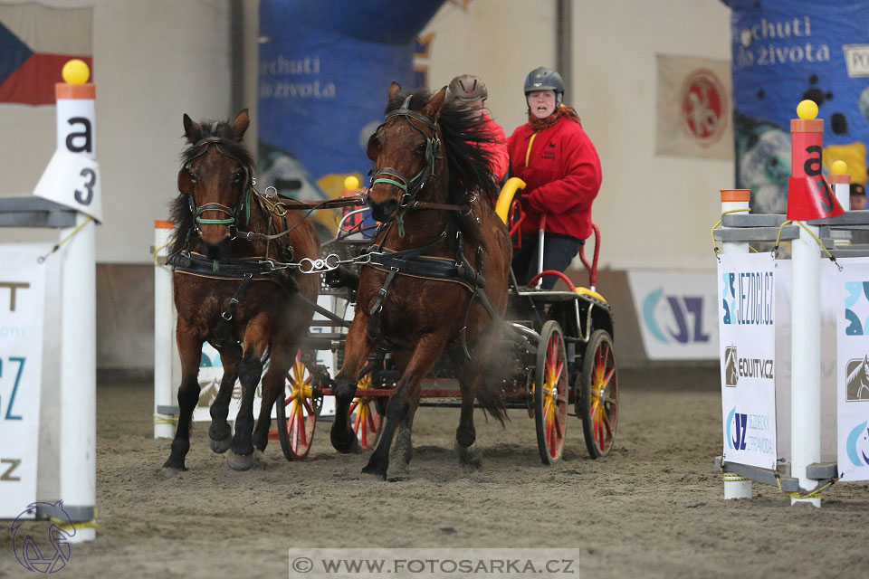 28.1.2017 - spřežení Hradištko