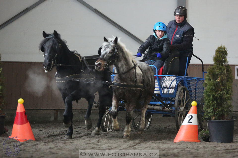 28.1.2017 - spřežení Hradištko