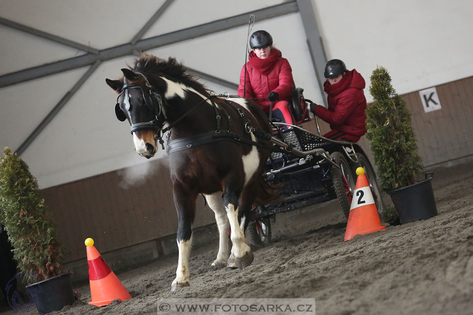 28.1.2017 - spřežení Hradištko