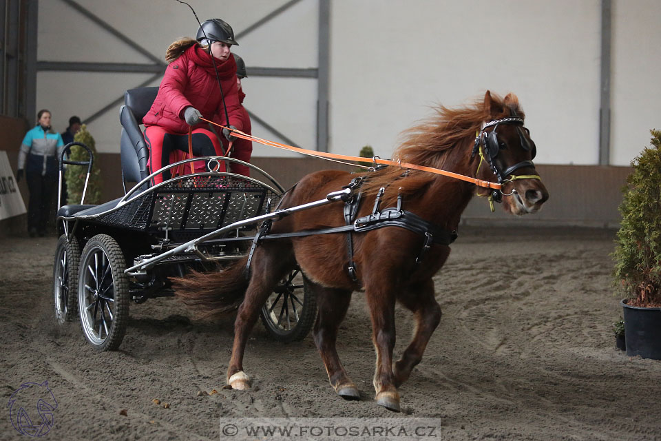 28.1.2017 - spřežení Hradištko