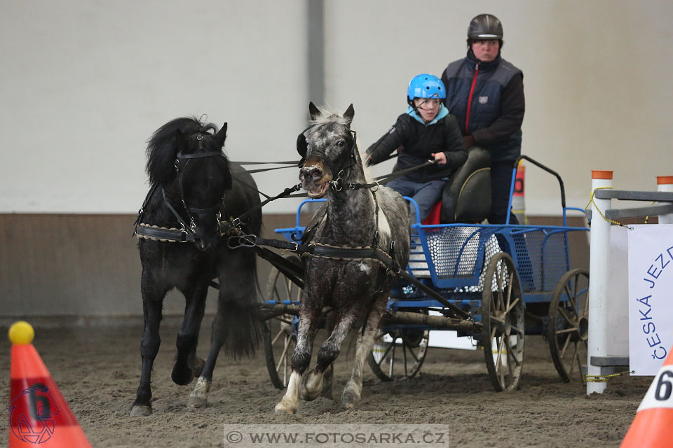 28.1.2017 - spřežení Hradištko