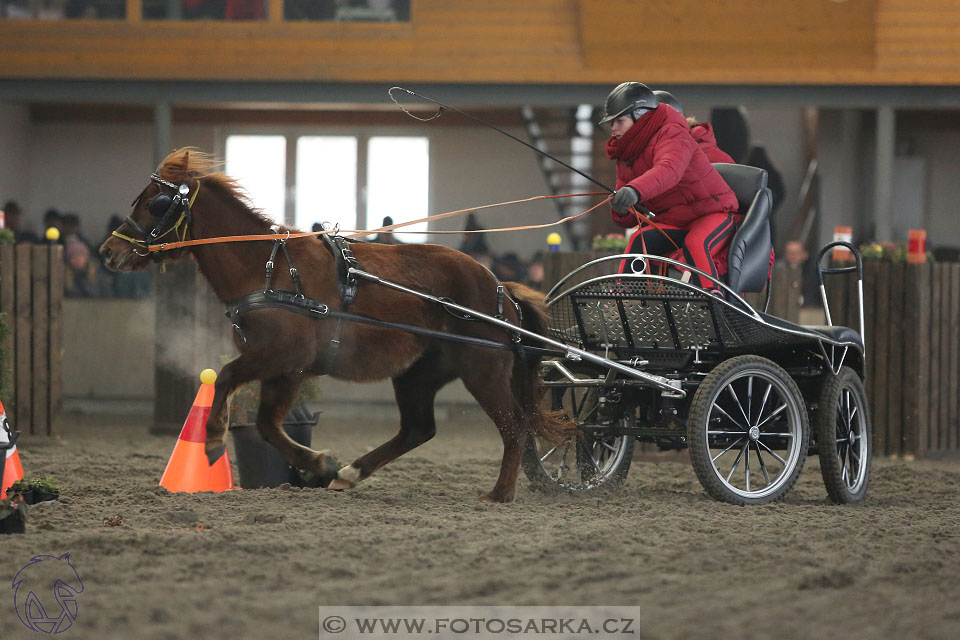 28.1.2017 - spřežení Hradištko