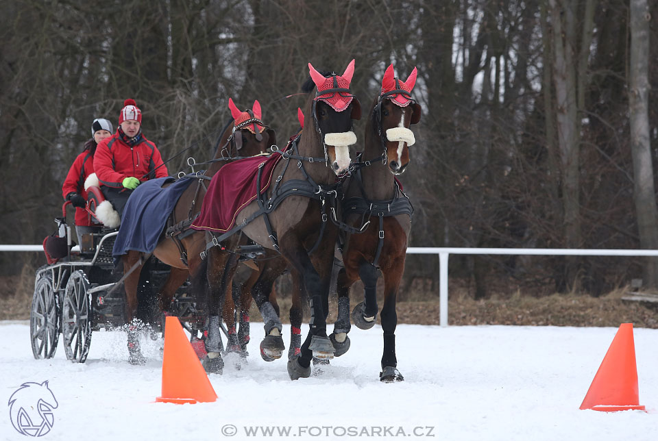 28.1.2017 - spřežení Hradištko