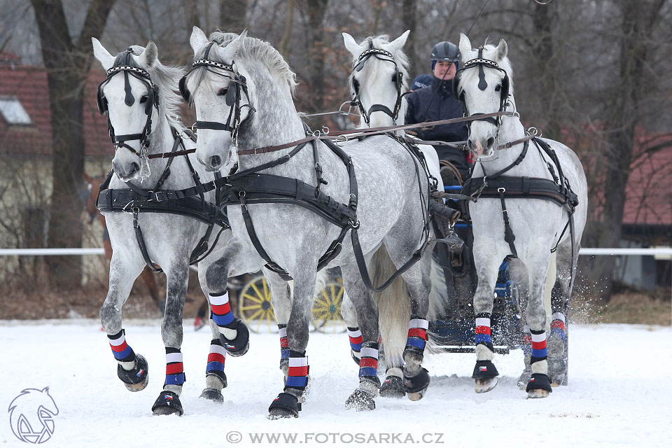 28.1.2017 - spřežení Hradištko