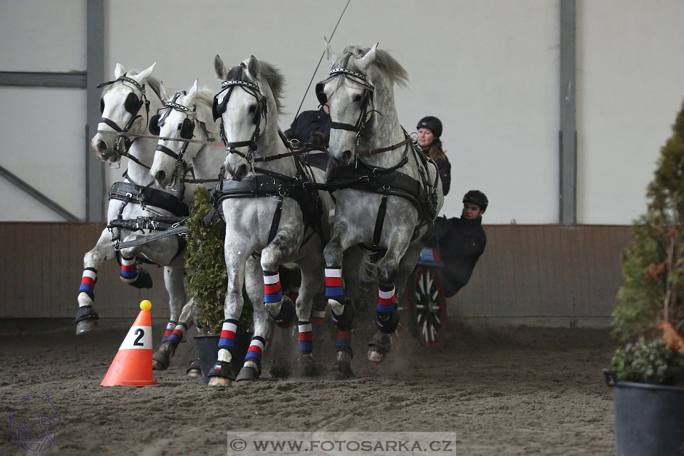 28.1.2017 - spřežení Hradištko