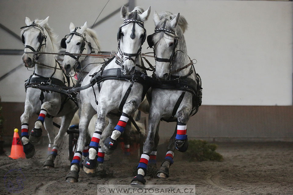 28.1.2017 - spřežení Hradištko
