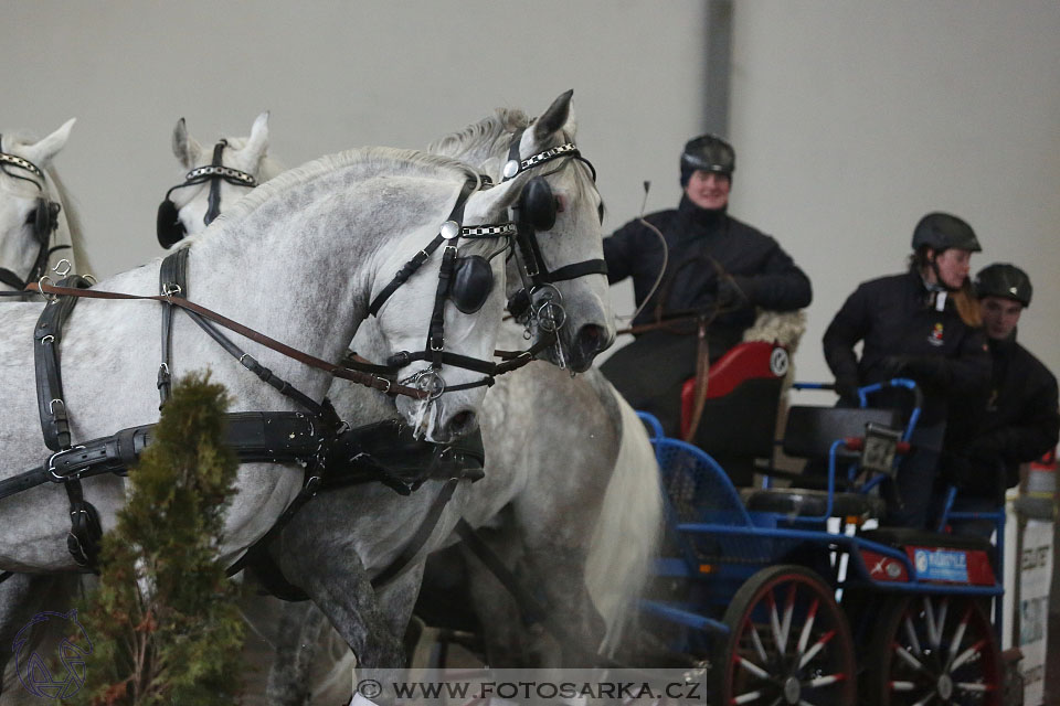 28.1.2017 - spřežení Hradištko