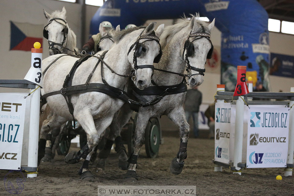 28.1.2017 - spřežení Hradištko