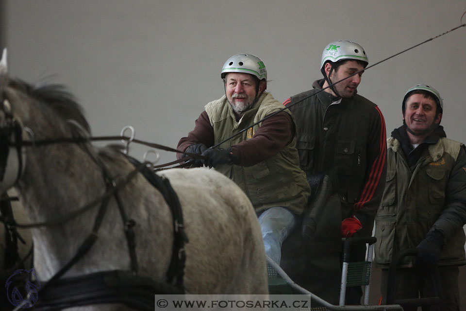 28.1.2017 - spřežení Hradištko