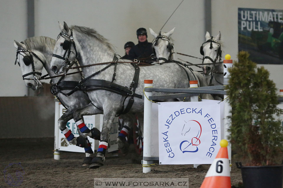 28.1.2017 - spřežení Hradištko
