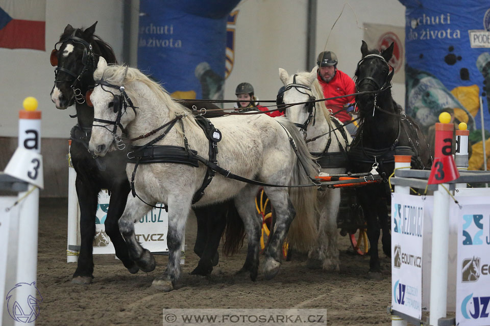 28.1.2017 - spřežení Hradištko
