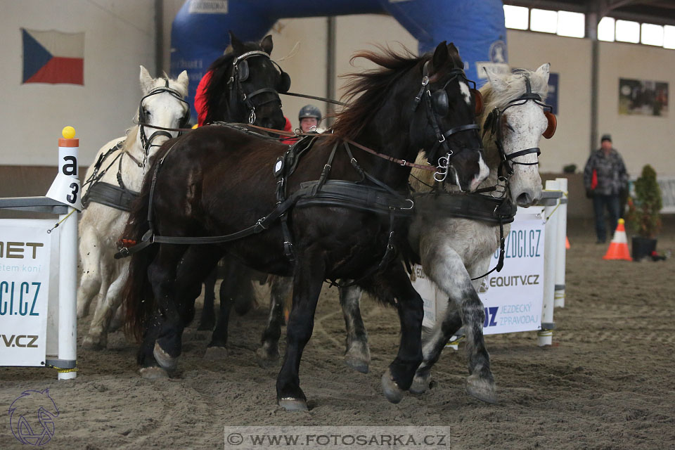 28.1.2017 - spřežení Hradištko