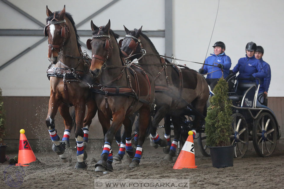 28.1.2017 - spřežení Hradištko