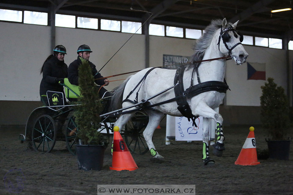 28.1.2017 - spřežení Hradištko