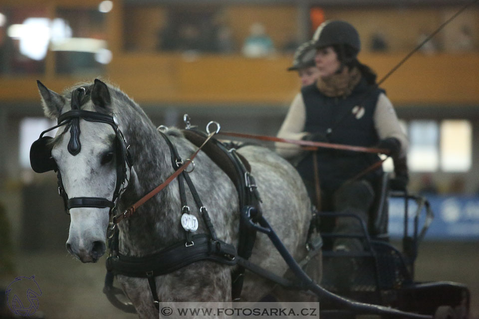 28.1.2017 - spřežení Hradištko