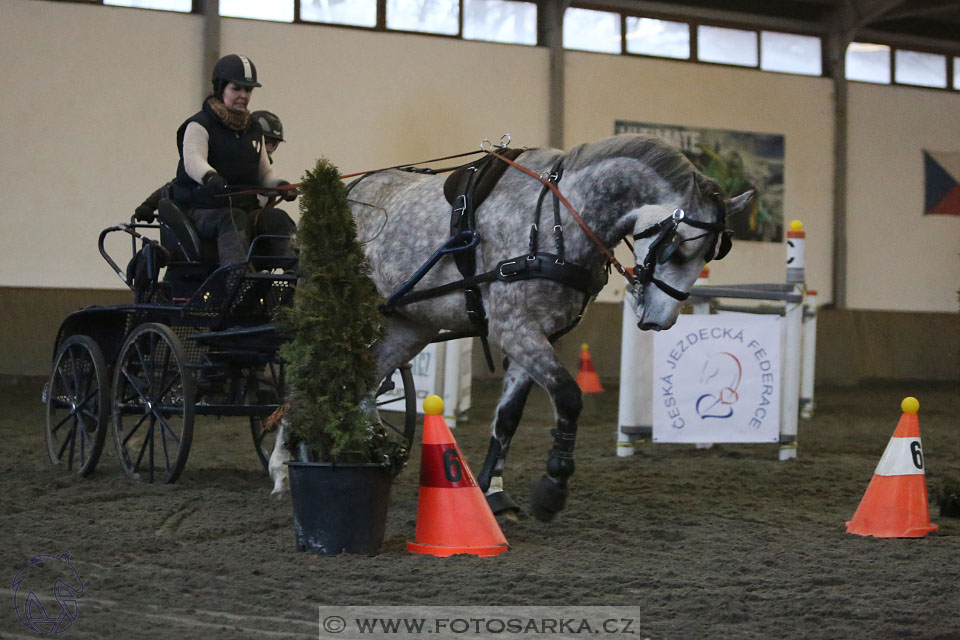 28.1.2017 - spřežení Hradištko