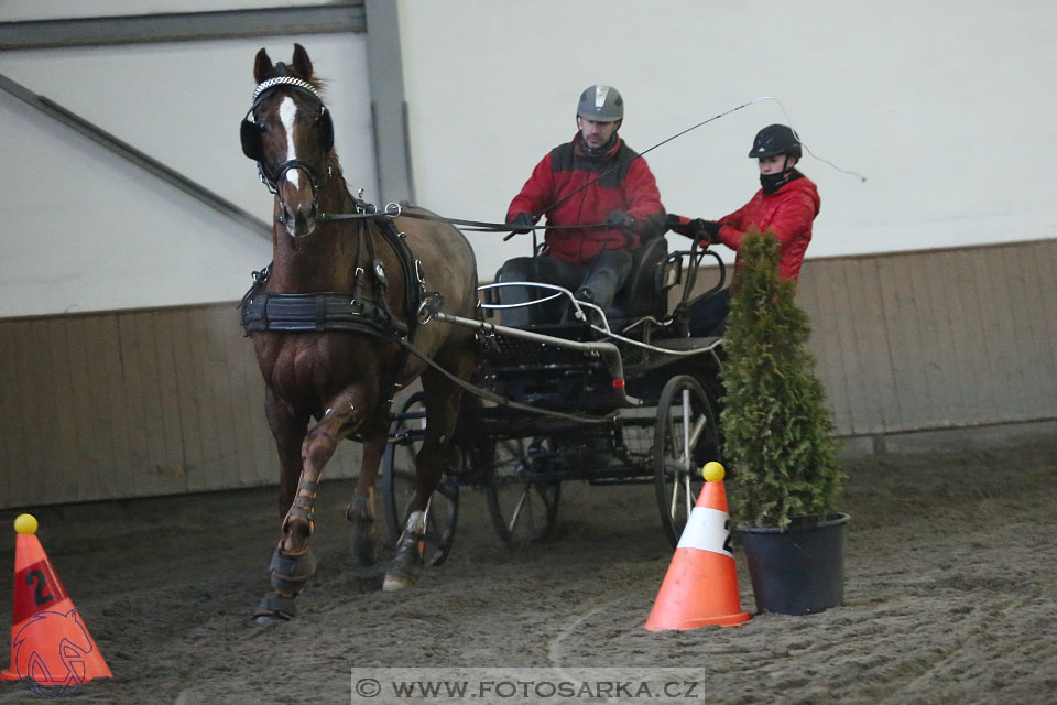 28.1.2017 - spřežení Hradištko
