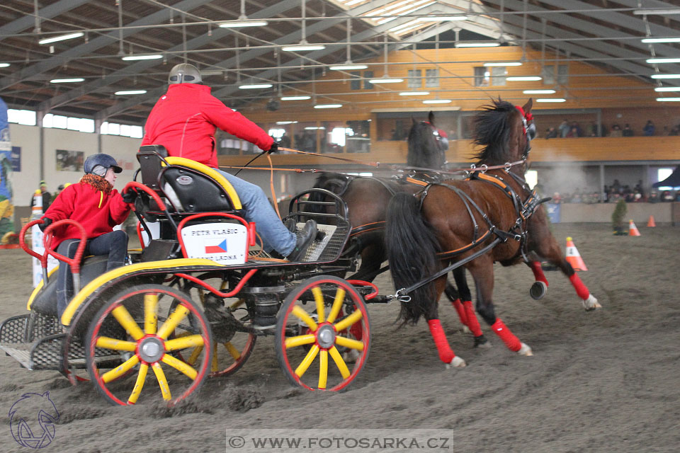 28.1.2017 - spřežení Hradištko