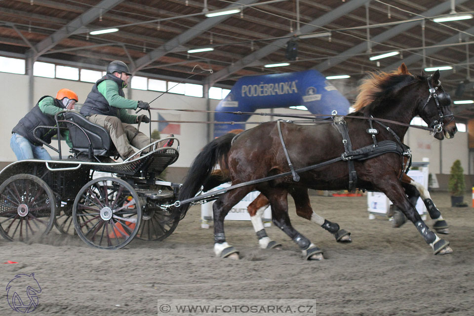 28.1.2017 - spřežení Hradištko
