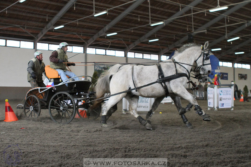 28.1.2017 - spřežení Hradištko
