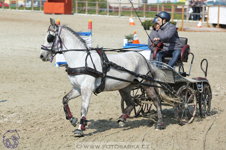 29.4.2017 - Wetbloc Cup