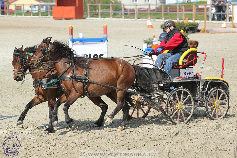 29.4.2017 - Wetbloc Cup