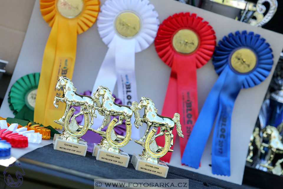 29.4.2017 - Wetbloc Cup