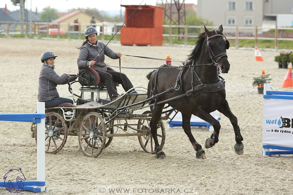 29.4.2017 - Wetbloc Cup
