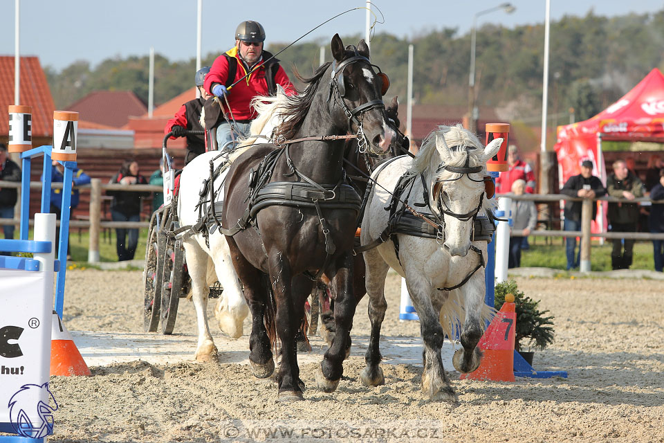 29.4.2017 - Wetbloc Cup