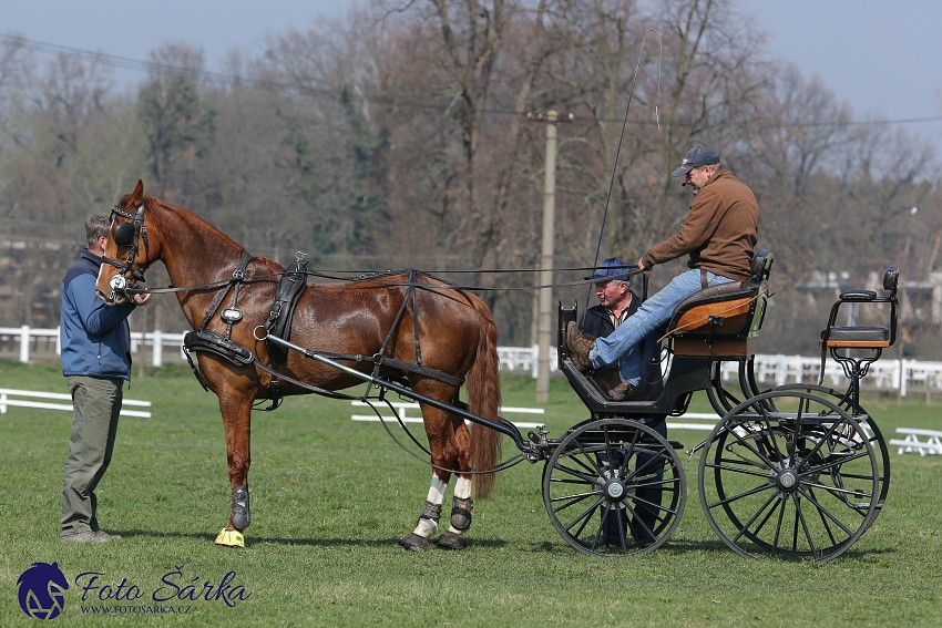 30.-.31.3.2019 - Soustředění spřežení v NH Kladruby