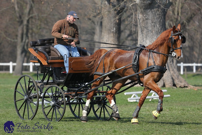 30.-.31.3.2019 - Soustředění spřežení v NH Kladruby