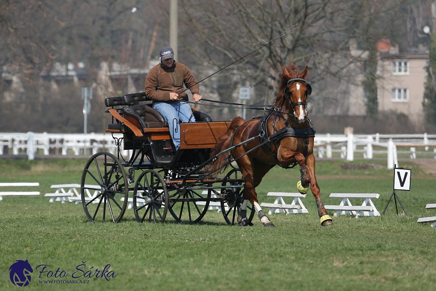 30.-.31.3.2019 - Soustředění spřežení v NH Kladruby