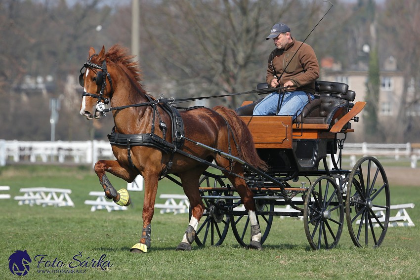 30.-.31.3.2019 - Soustředění spřežení v NH Kladruby