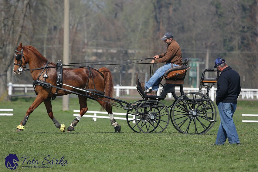 30.-.31.3.2019 - Soustředění spřežení v NH Kladruby