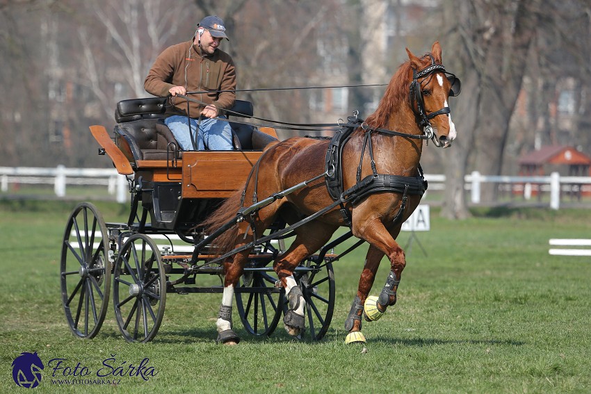 30.-.31.3.2019 - Soustředění spřežení v NH Kladruby