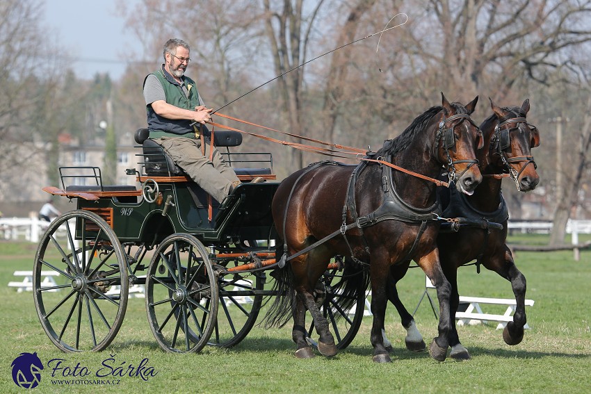30.-.31.3.2019 - Soustředění spřežení v NH Kladruby