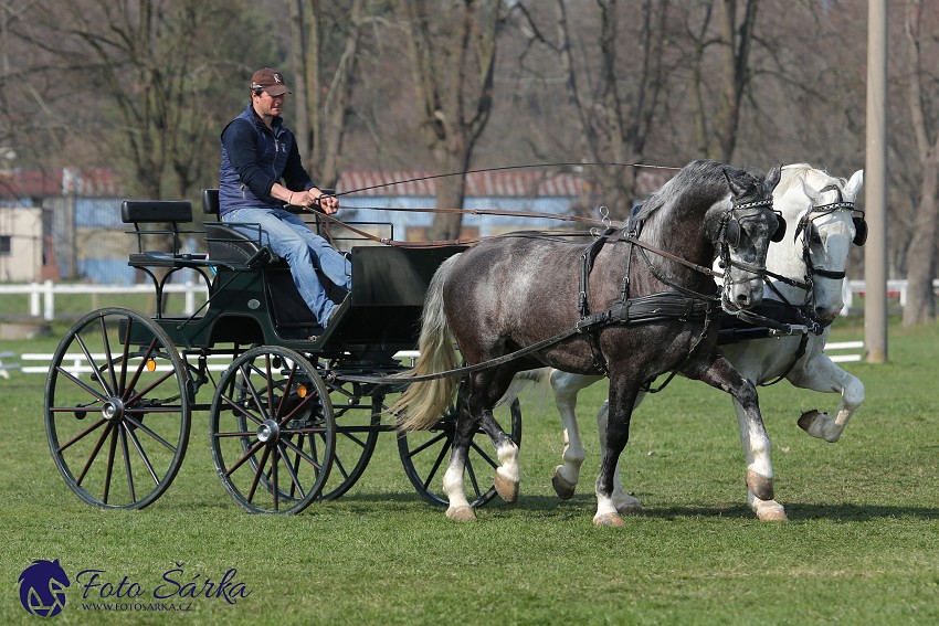 30.-.31.3.2019 - Soustředění spřežení v NH Kladruby