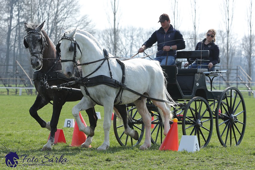 30.-.31.3.2019 - Soustředění spřežení v NH Kladruby