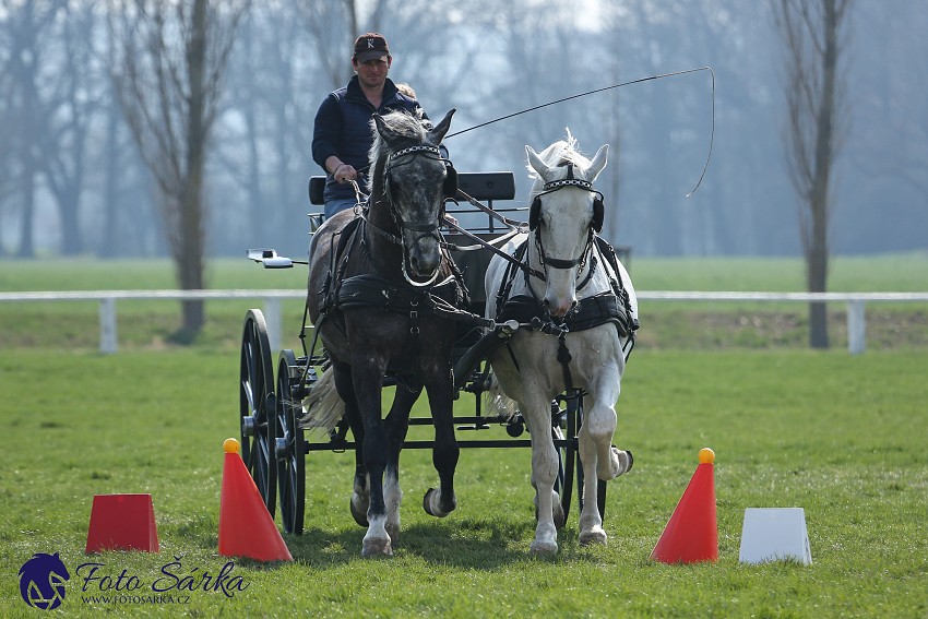 30.-.31.3.2019 - Soustředění spřežení v NH Kladruby