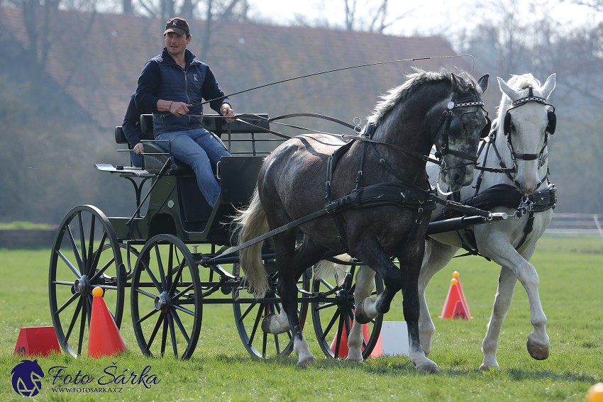 30.-.31.3.2019 - Soustředění spřežení v NH Kladruby