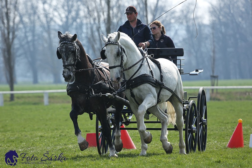 30.-.31.3.2019 - Soustředění spřežení v NH Kladruby