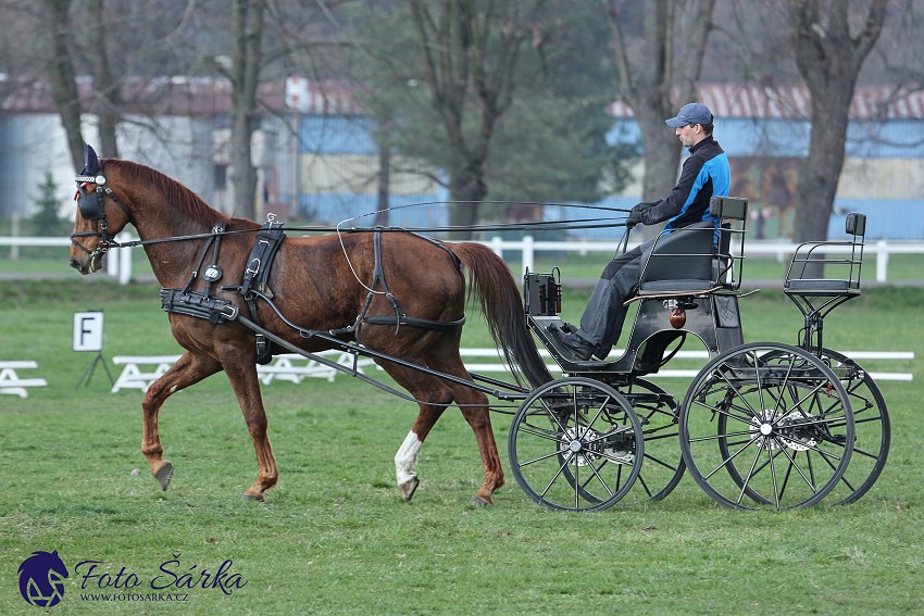 30.-.31.3.2019 - Soustředění spřežení v NH Kladruby