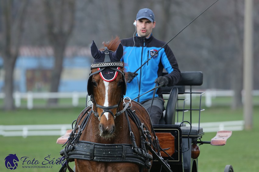 30.-.31.3.2019 - Soustředění spřežení v NH Kladruby