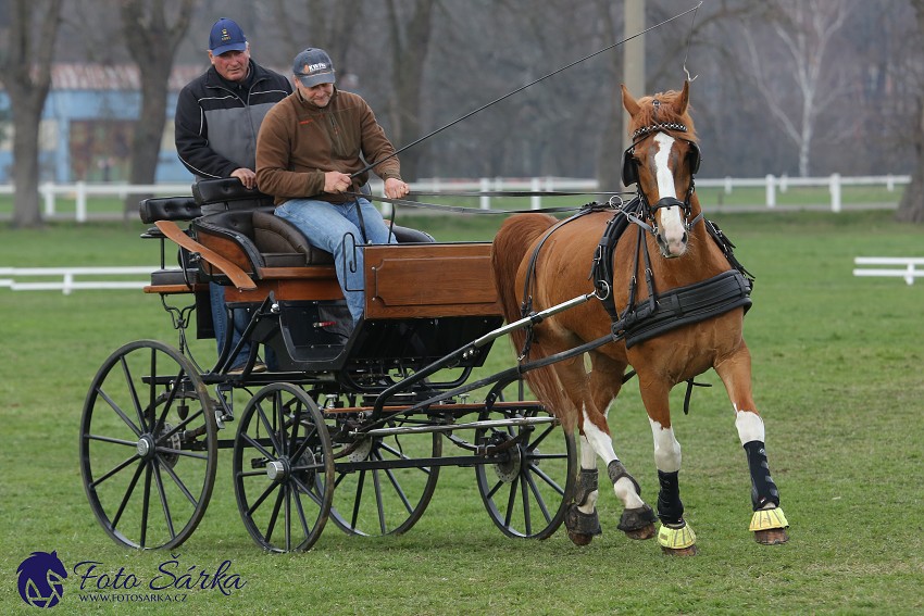 30.-.31.3.2019 - Soustředění spřežení v NH Kladruby