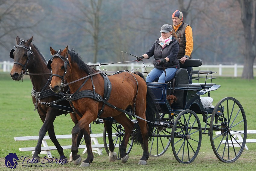 30.-.31.3.2019 - Soustředění spřežení v NH Kladruby