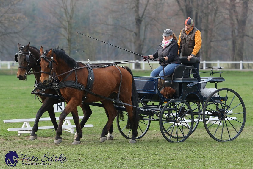 30.-.31.3.2019 - Soustředění spřežení v NH Kladruby