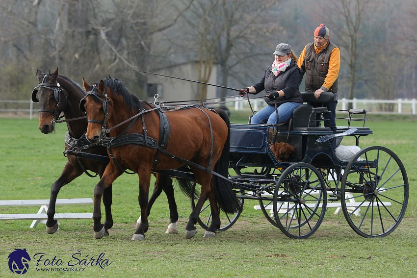 30.-.31.3.2019 - Soustředění spřežení v NH Kladruby