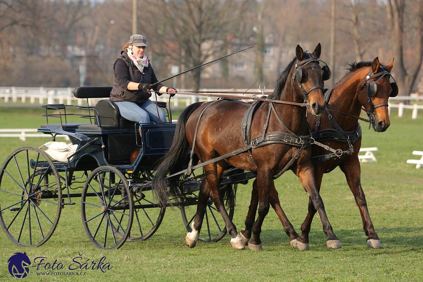 30.-.31.3.2019 - Soustředění spřežení v NH Kladruby