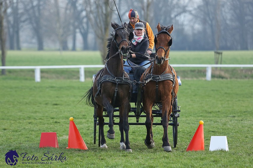 30.-.31.3.2019 - Soustředění spřežení v NH Kladruby